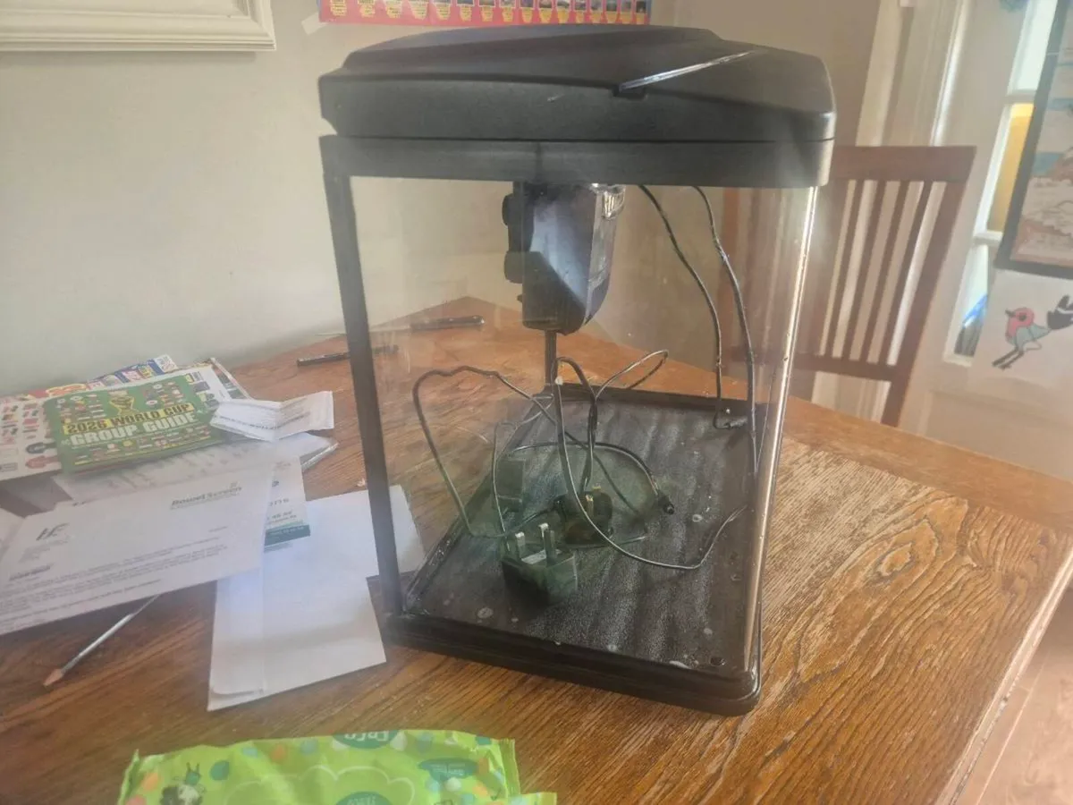 Fish tank - Image 1