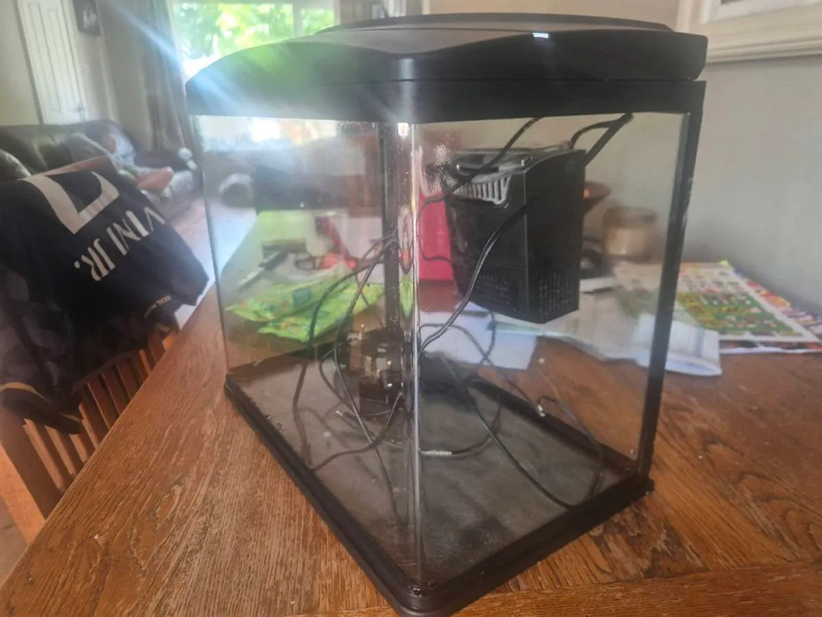 Fish tank - Image 2