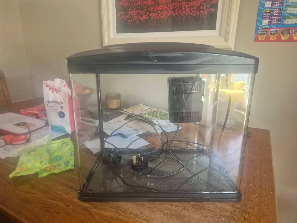 Fish tank - Image 3