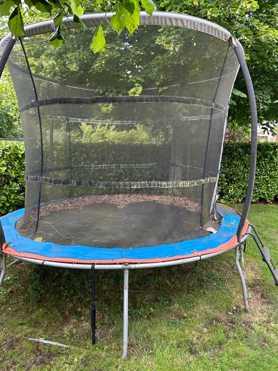 Trampoline - Image 2