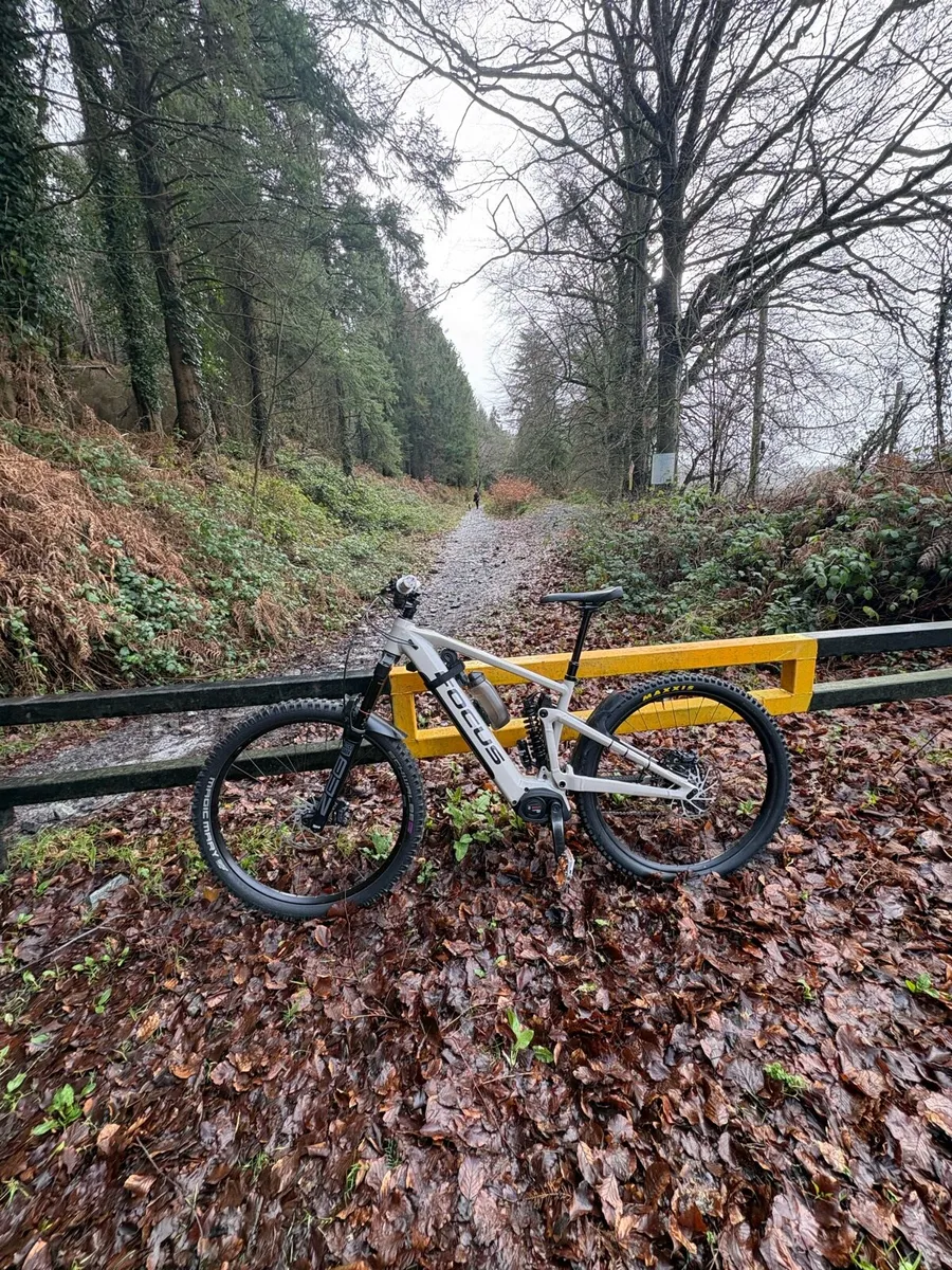 Focus enduro ebike - Image 2