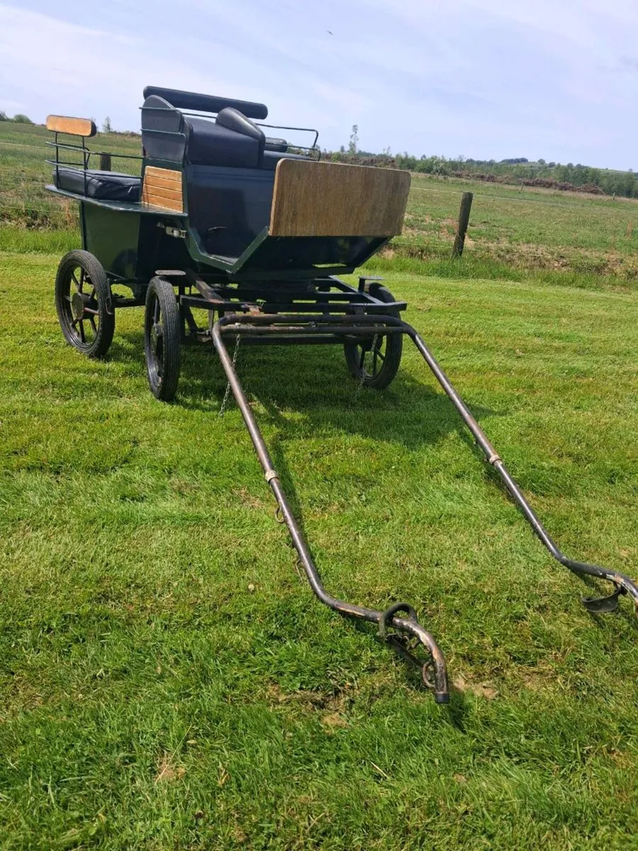 Cart - Image 1