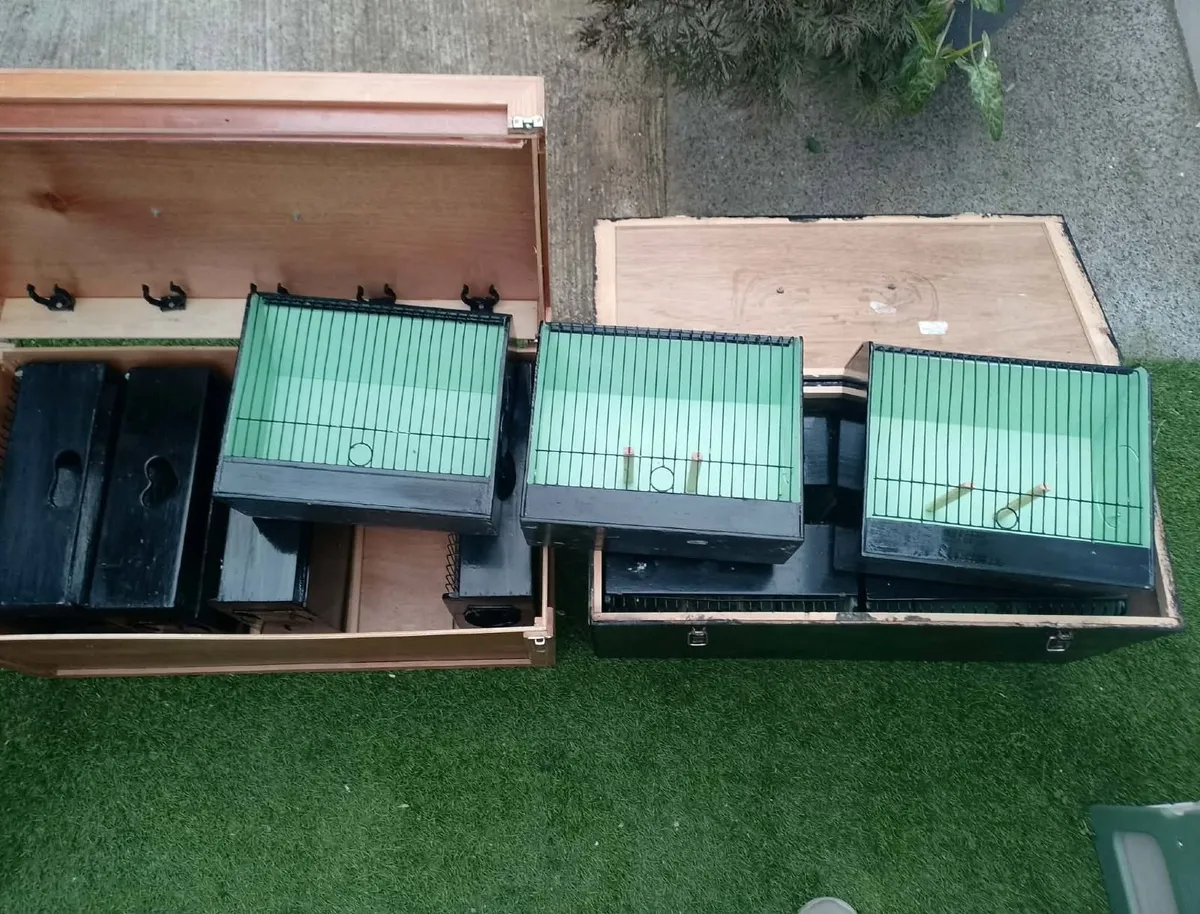 bird cages - Image 4