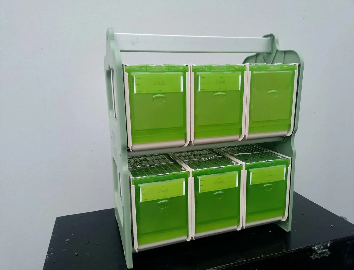 bird cages - Image 1