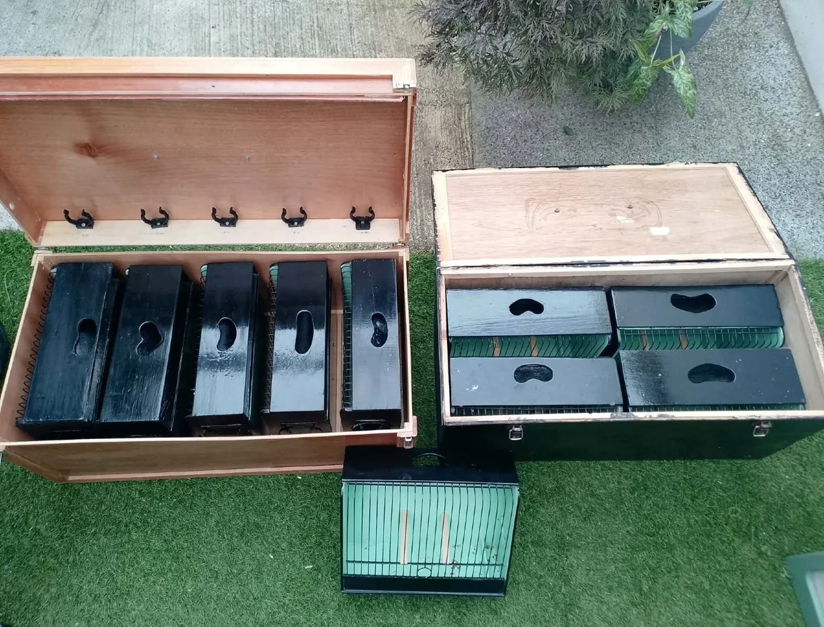bird cages - Image 3