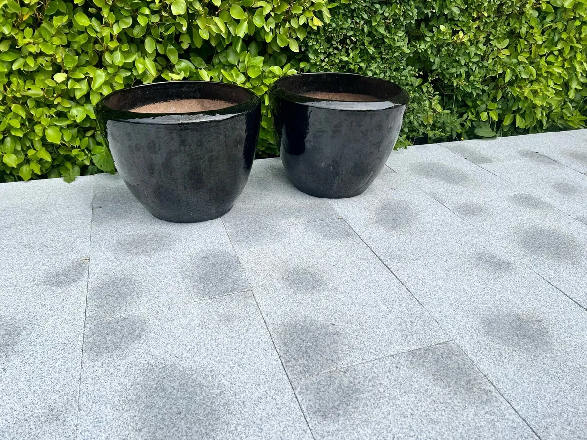 Large Garden Ceramic Planters - Image 1