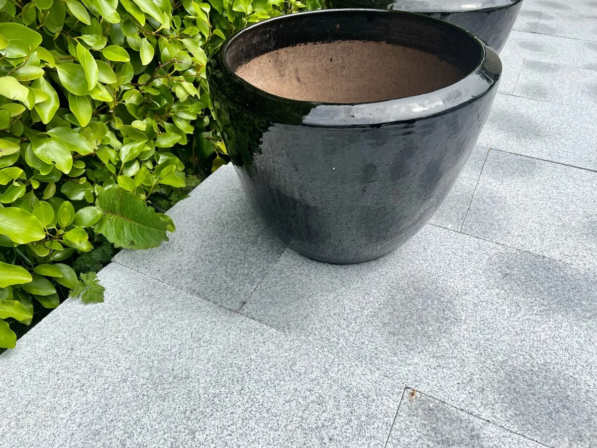 Large Garden Ceramic Planters - Image 2