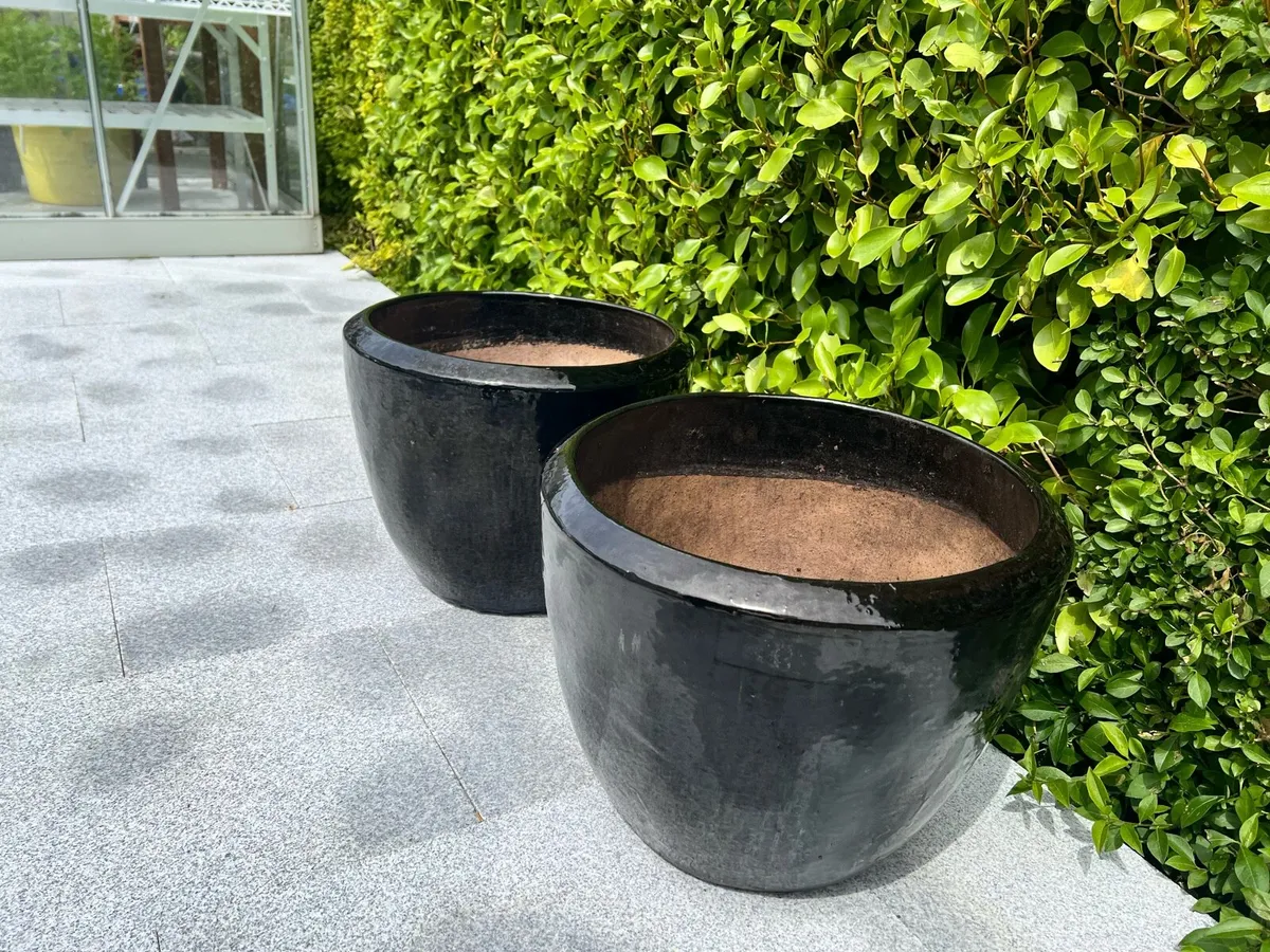Large Garden Ceramic Planters - Image 3