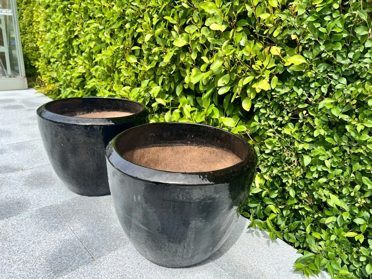 Large Garden Ceramic Planters - Image 4