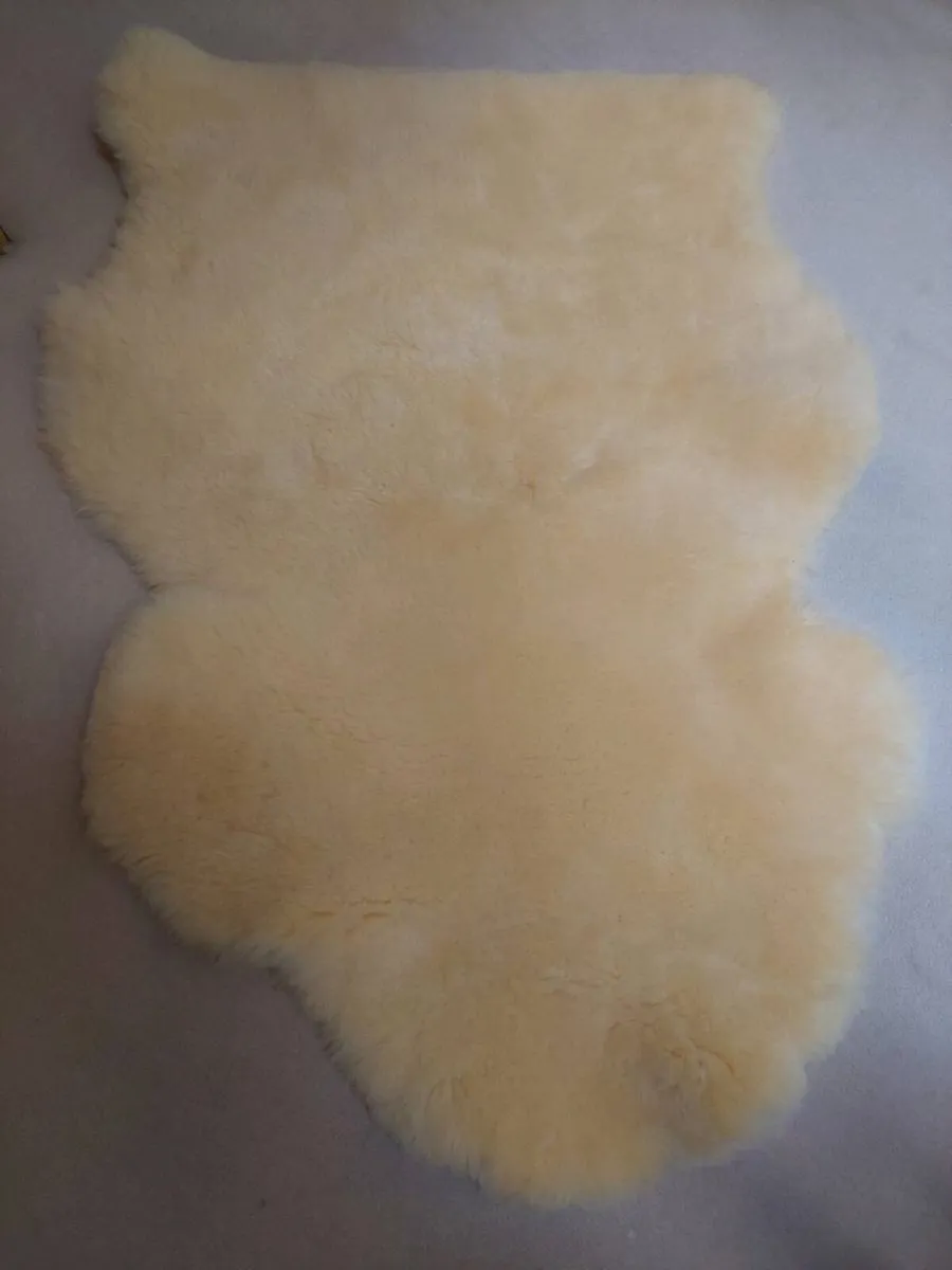Sheepskin Rug - Image 1