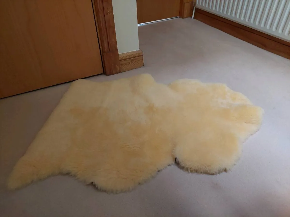 Sheepskin Rug - Image 3