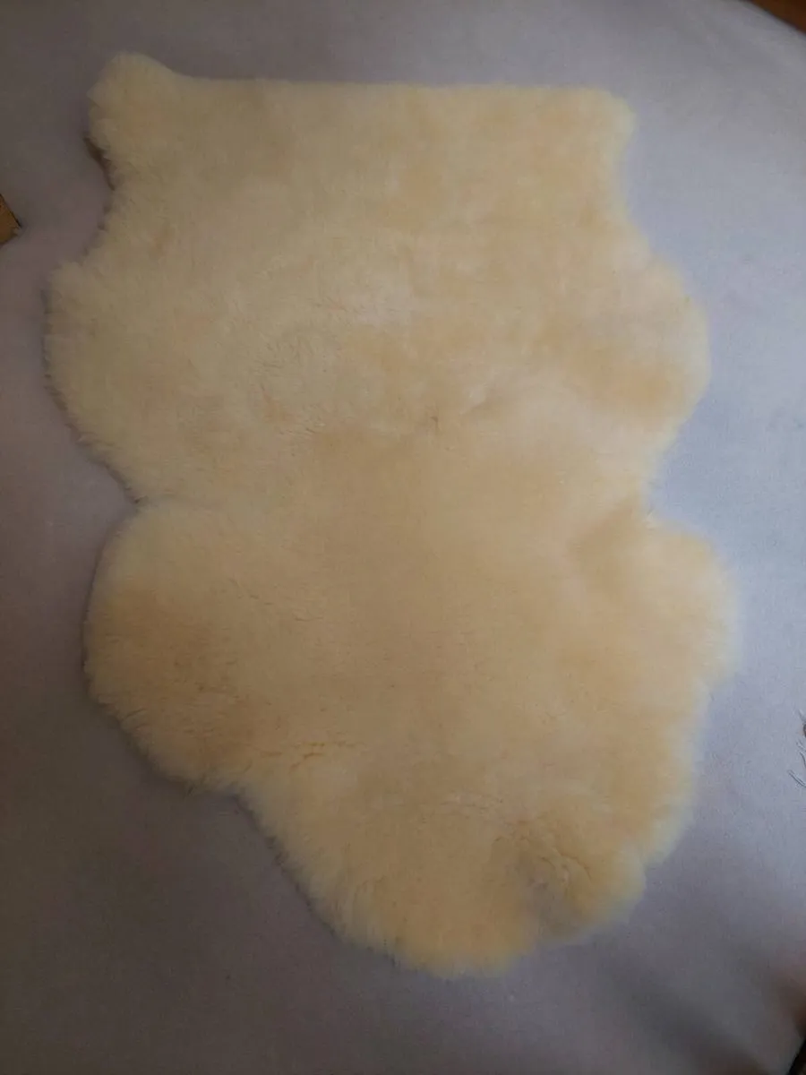 Sheepskin Rug - Image 4