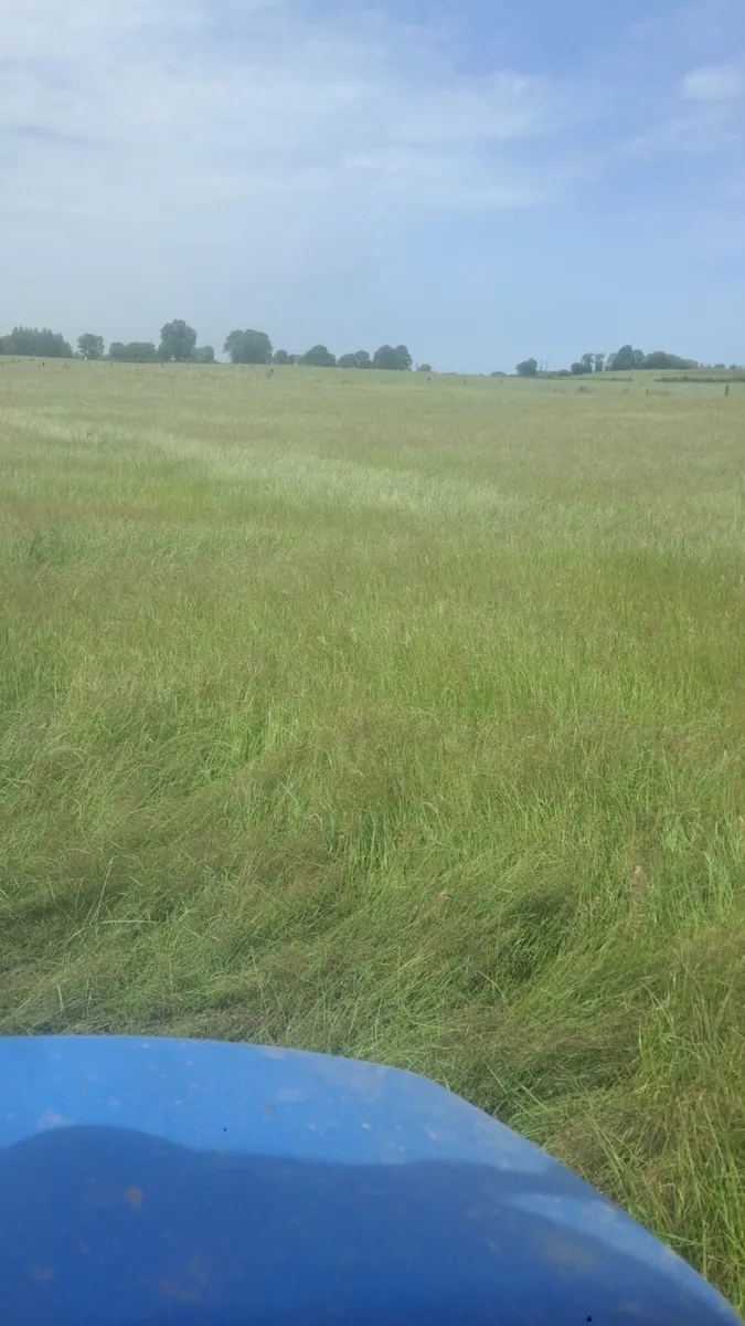 40 acres of meadows