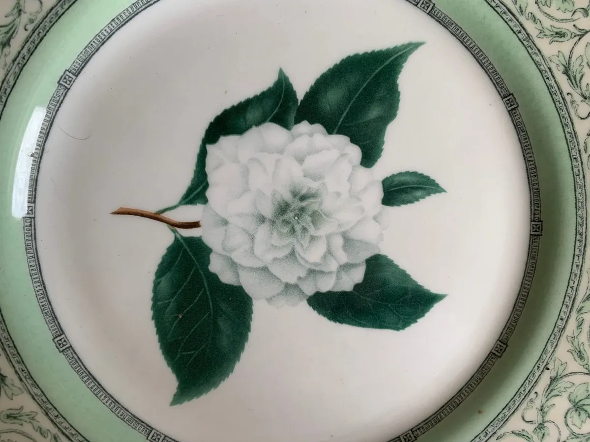 RHS Applebee Delf; Plates, cups & saucers - Image 4