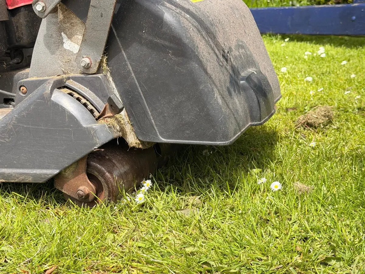 Lawnmower - Image 2