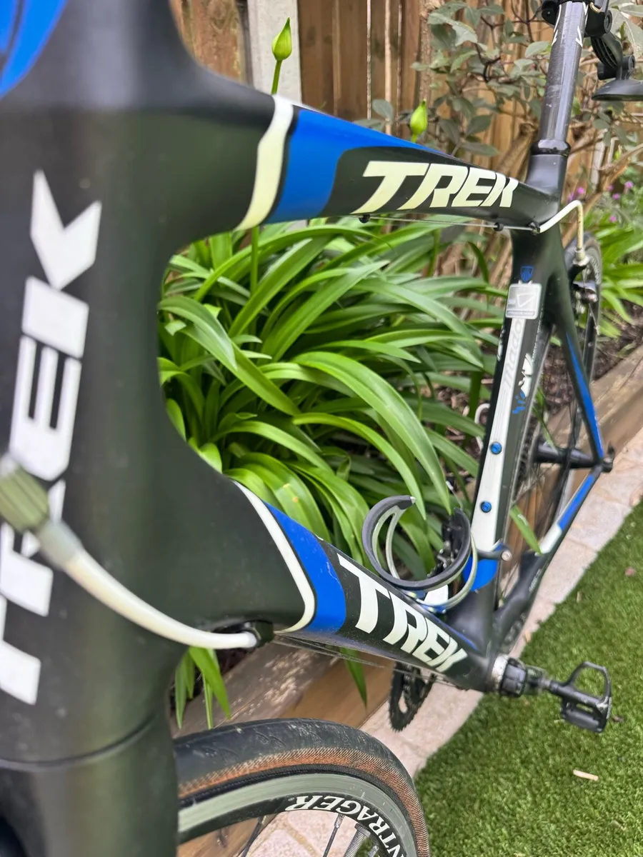 TREK MADONE - Image 3
