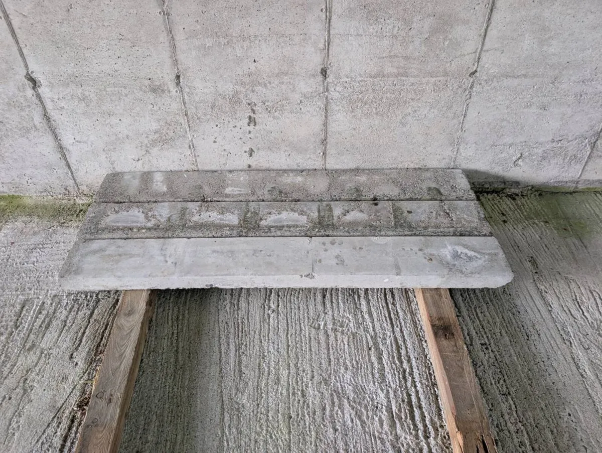 Concrete lentils - Image 1