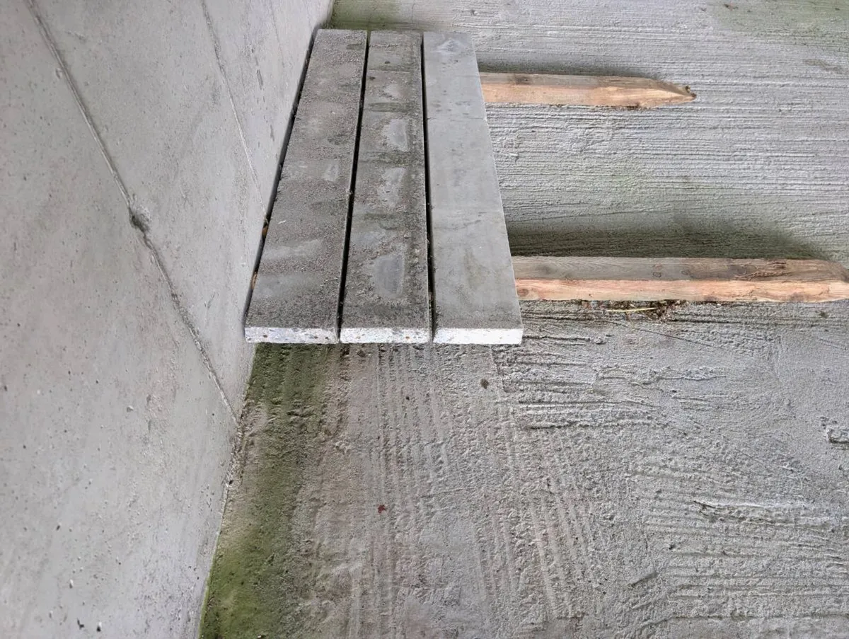 Concrete lentils - Image 2