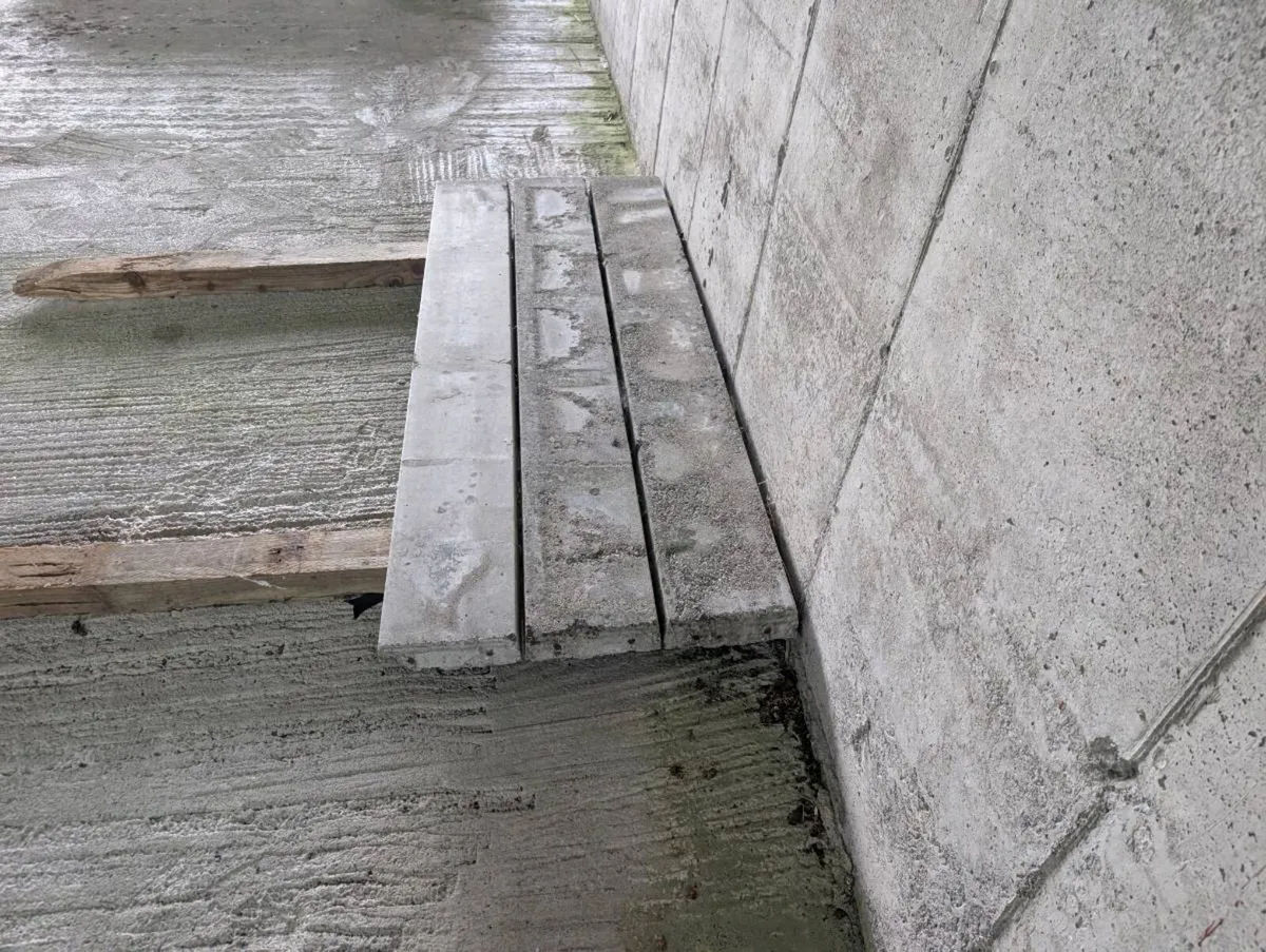 Concrete lentils - Image 3