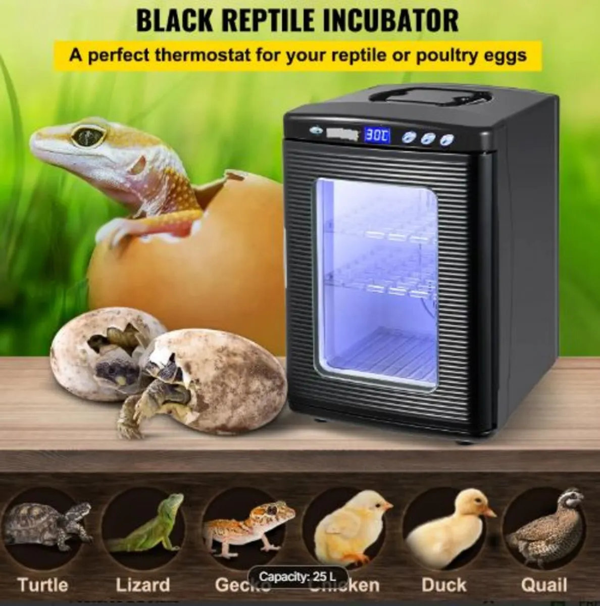 Black Reptile Incubator 25L Scientific Lab - Image 2