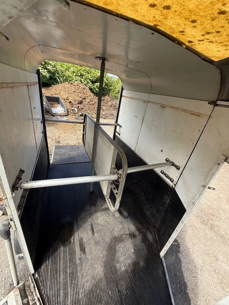 Horsebox - Image 4