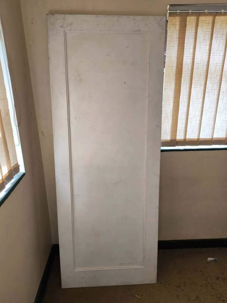 2 Doors with handles and locks - Image 1
