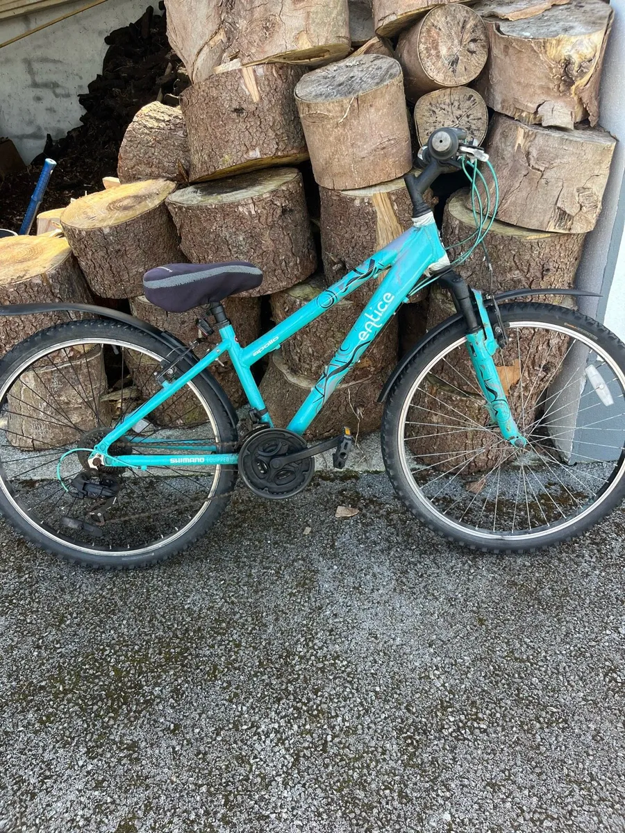 Adult off road bike with suspension - Image 1