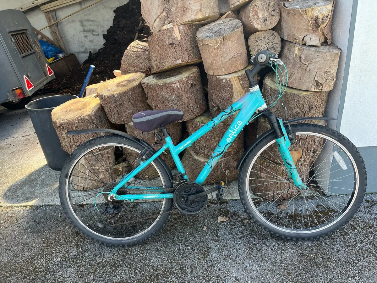 Adult off road bike with suspension - Image 2