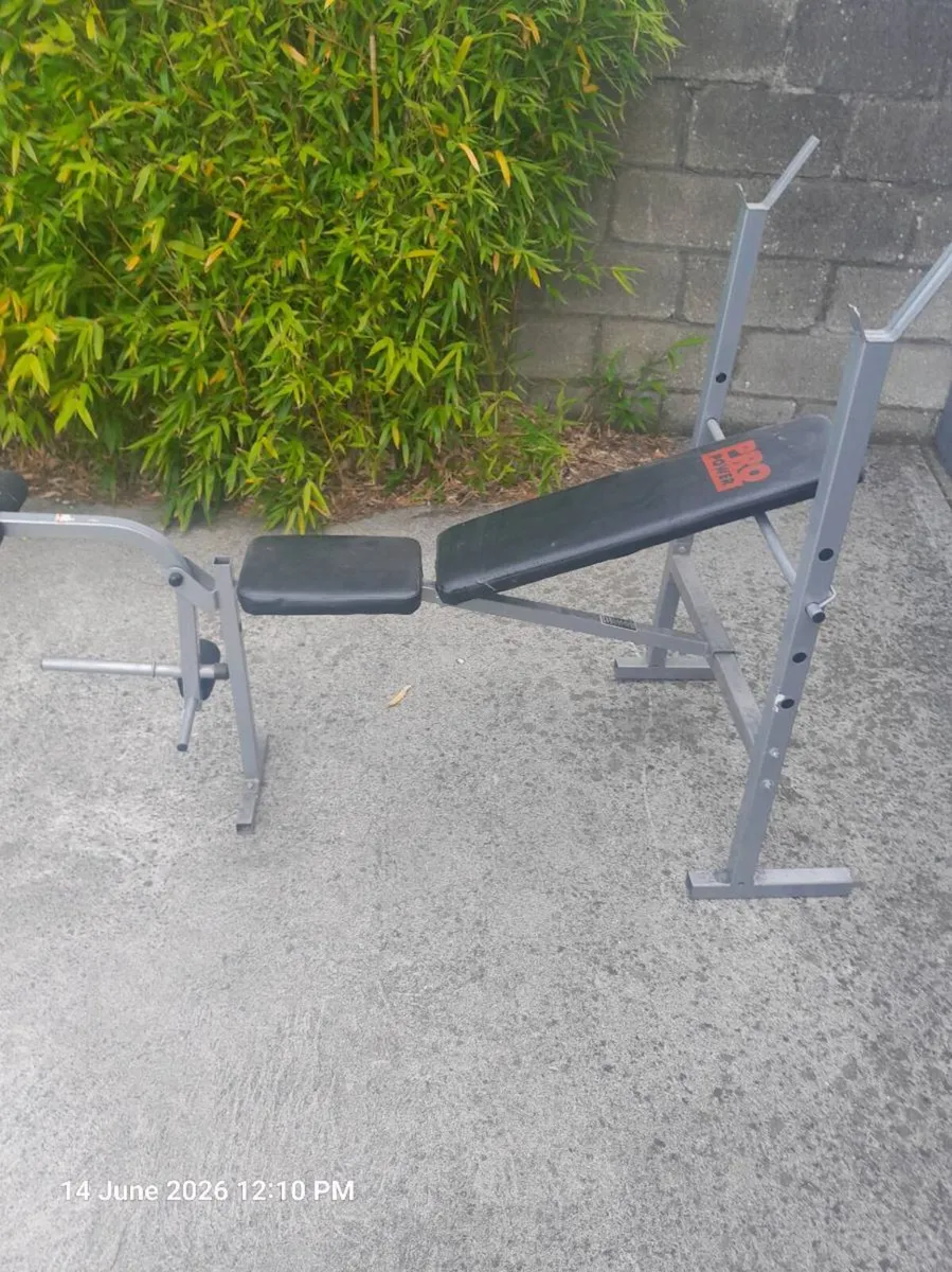WEIGHTS TRAINING BENCH - Image 1