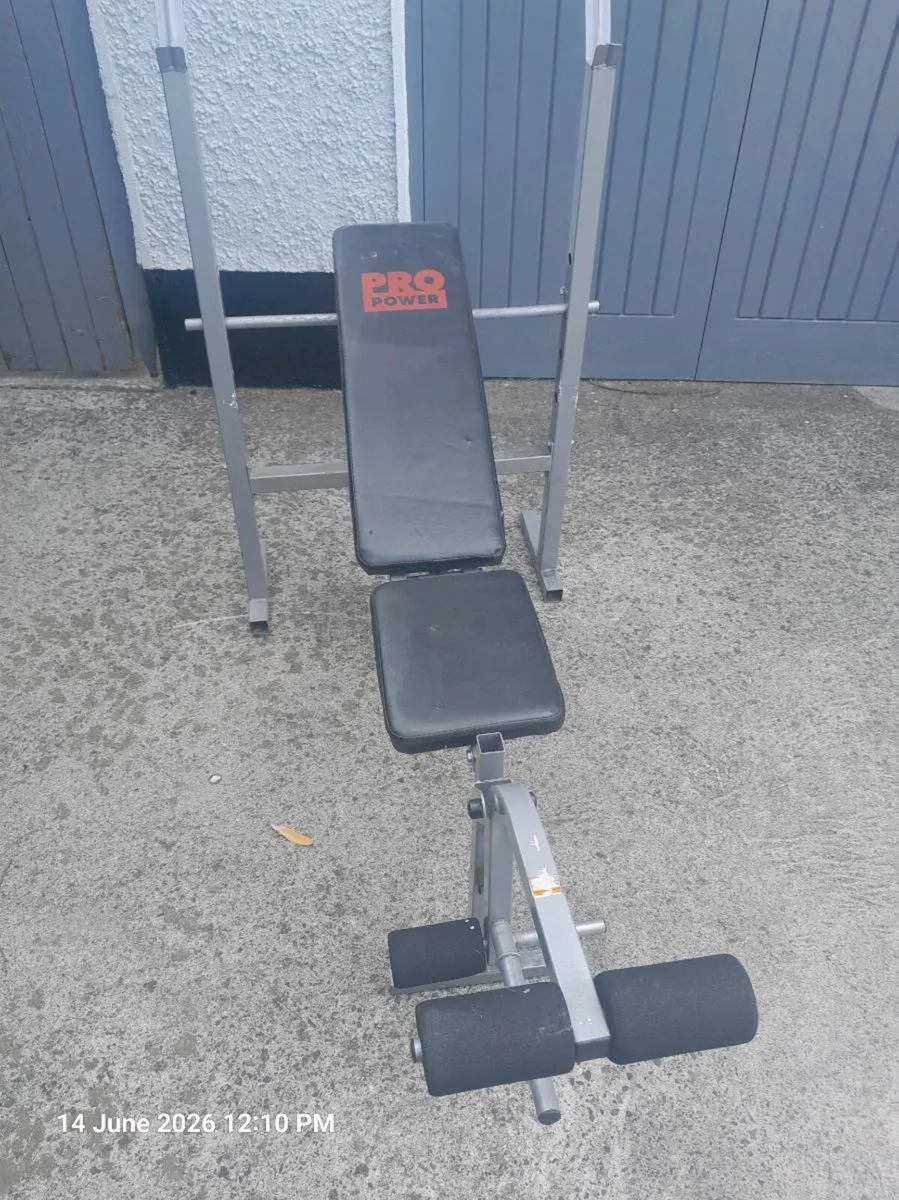 WEIGHTS TRAINING BENCH - Image 2