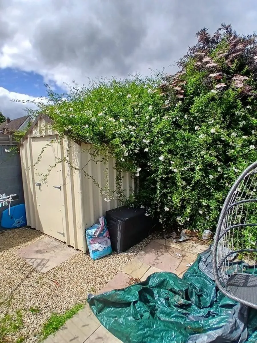 Metal Shed For Sale 6 x 8 - Image 3