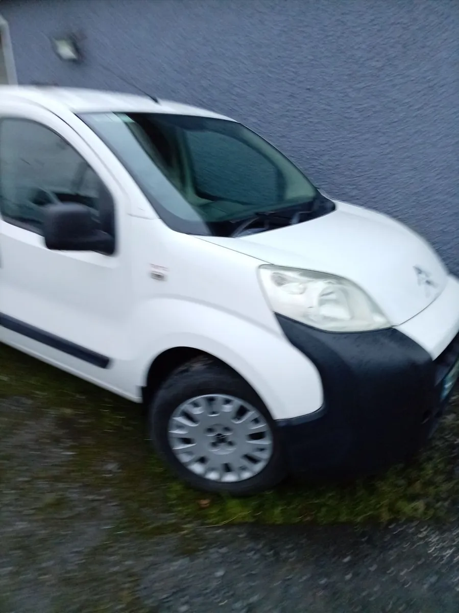 Citreon nemo - Image 3