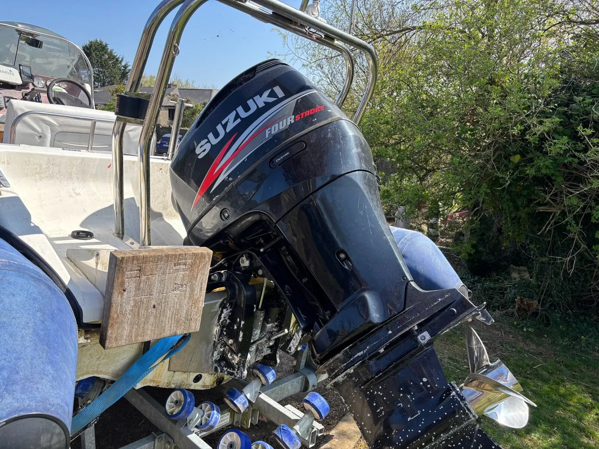 Rib - Image 3