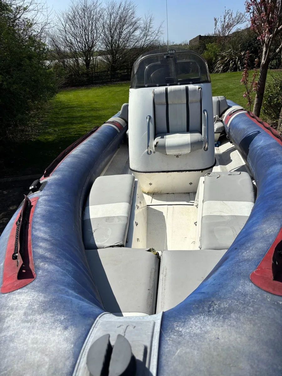 Rib - Image 2