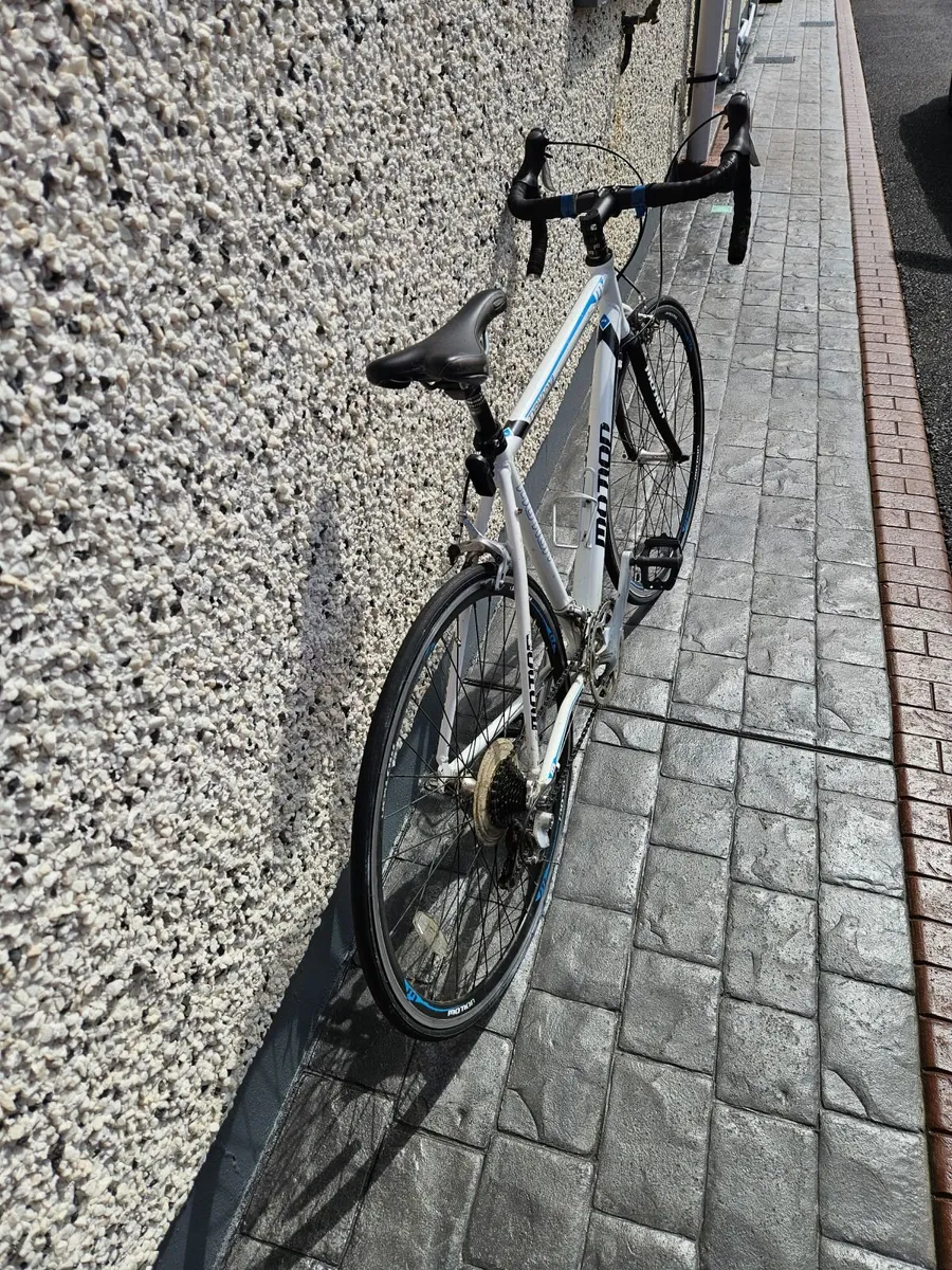 Motion typhoon racer bike - Image 1