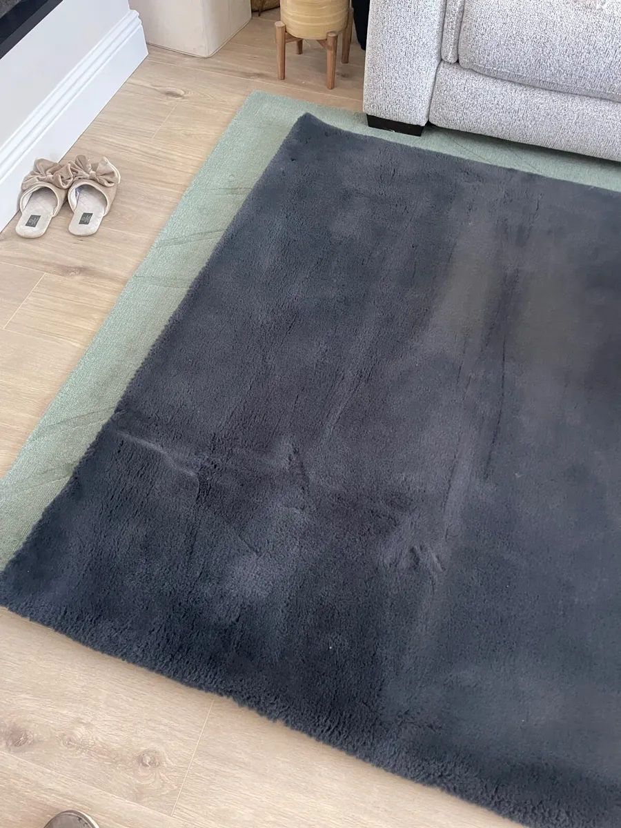 Rug - Image 1