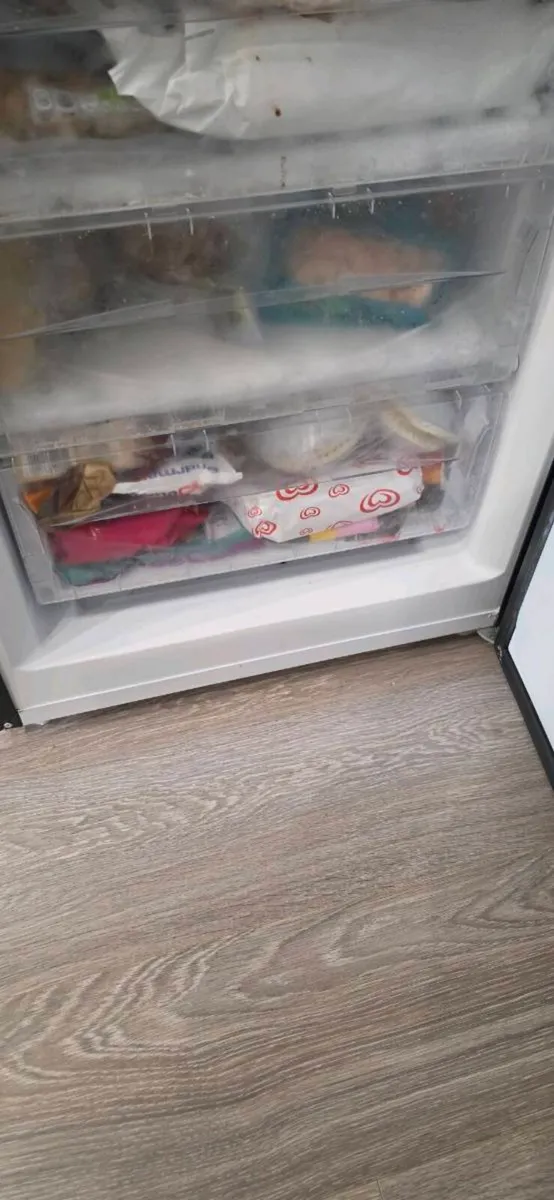 INDESIT Fridge freezer - Image 4