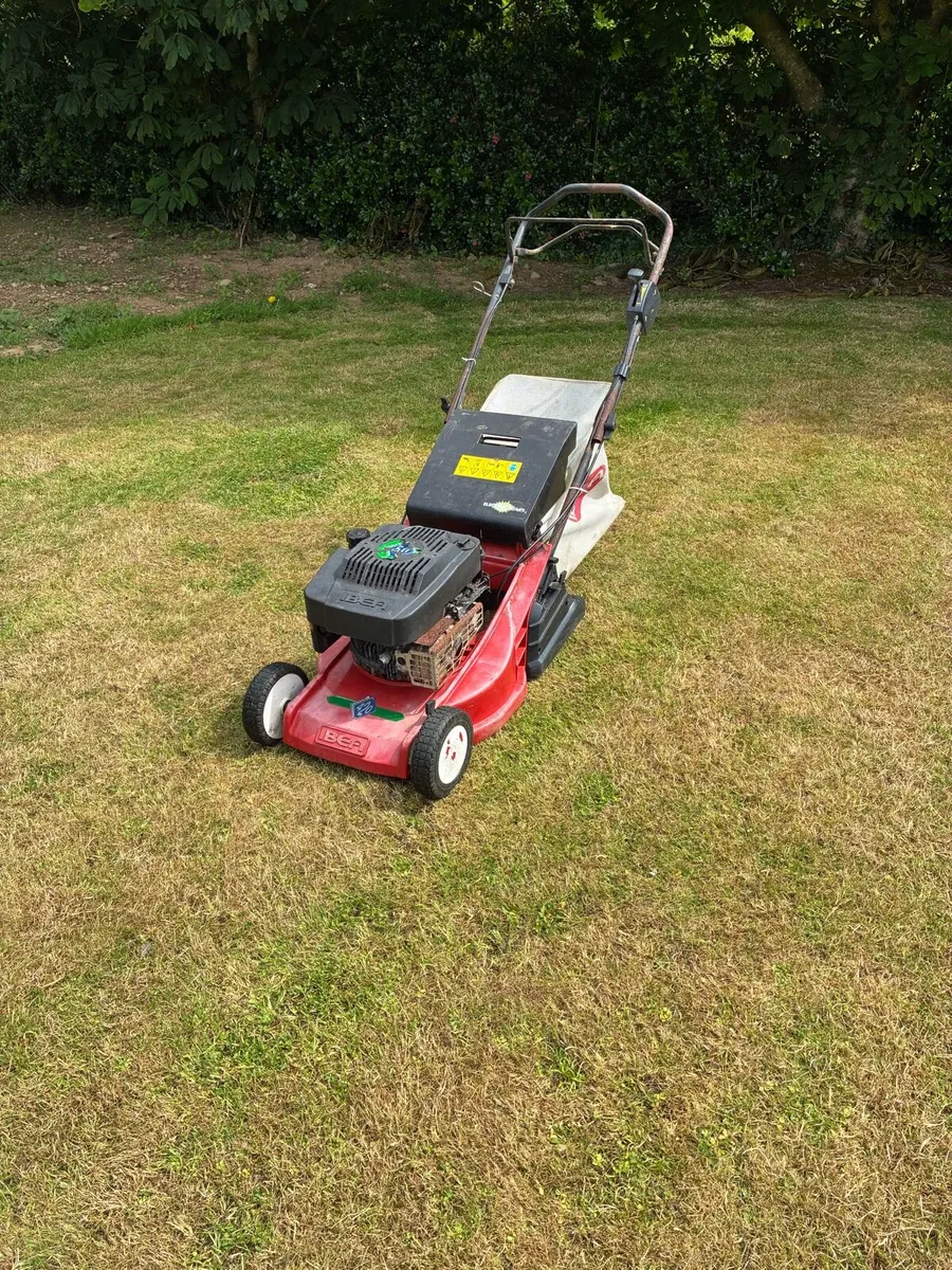 Roller lawnmower - Image 2