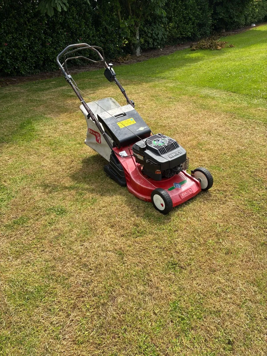 Roller lawnmower - Image 1