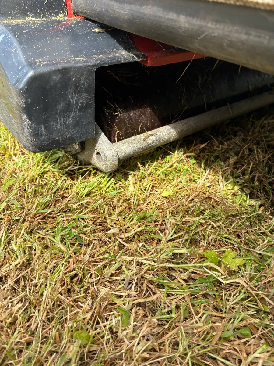 Roller lawnmower - Image 4