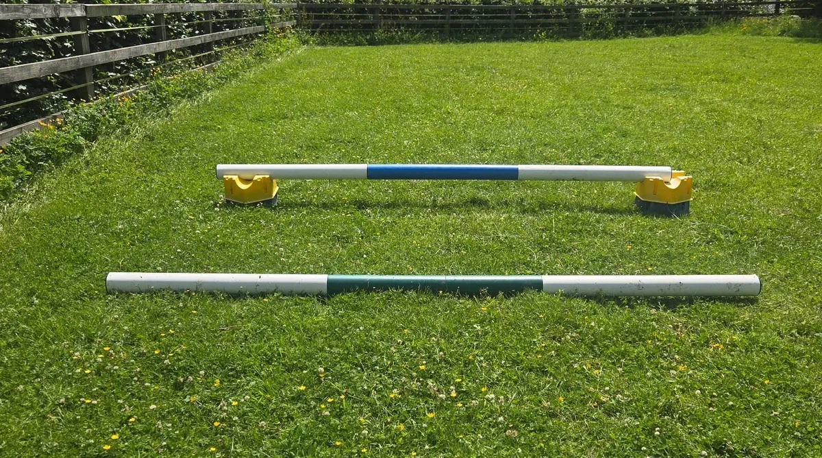 Jumping poles and blocks - Image 1