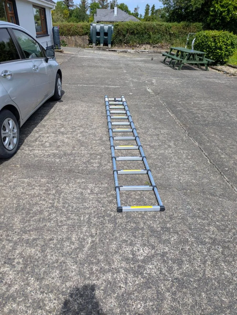 Telescopic Ladders with carry case - Image 2