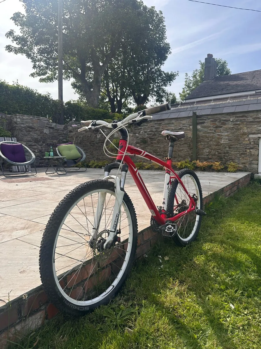 Mountain Bike - Image 1