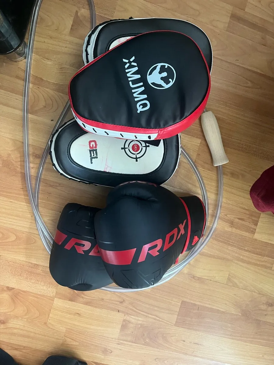 14oz Boxing gloves, mitts, skipping rope - Image 1
