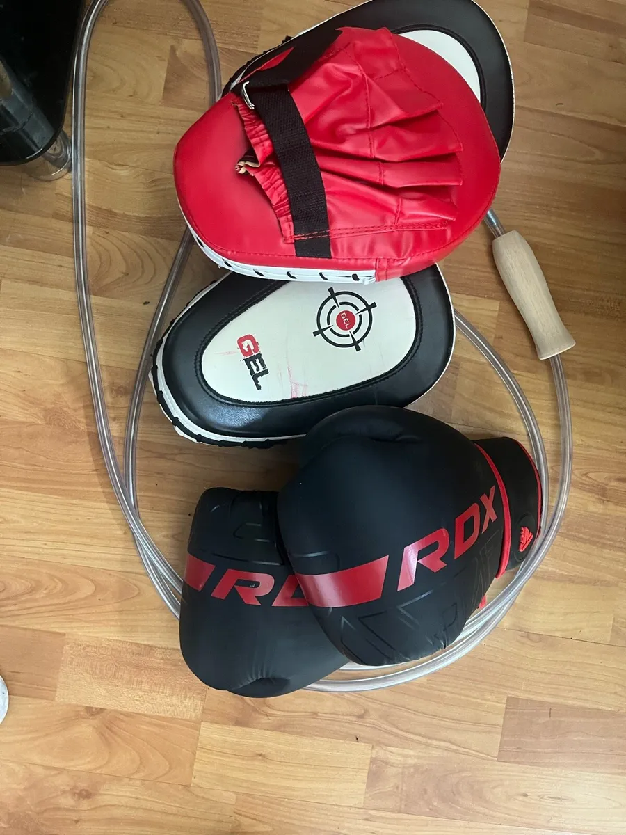 14oz Boxing gloves, mitts, skipping rope - Image 4