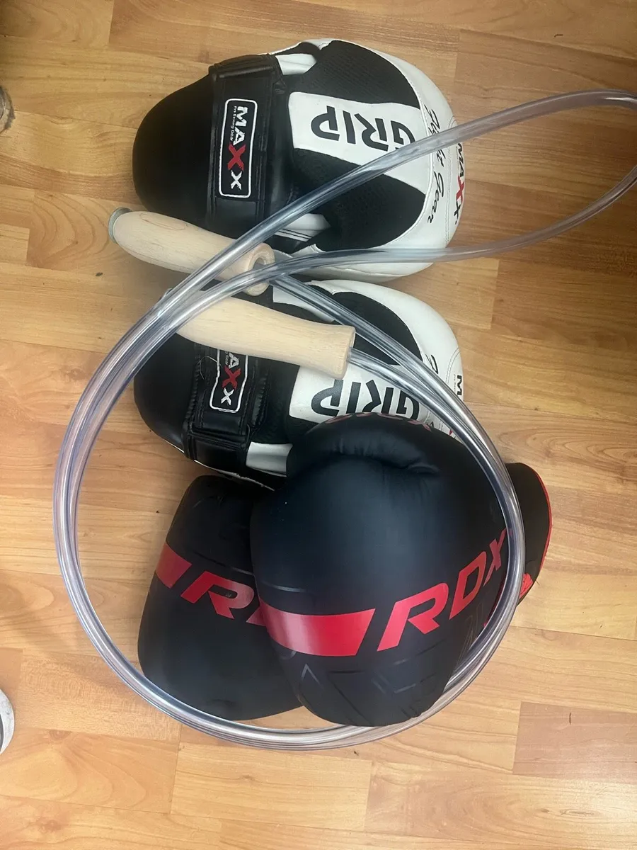14oz Boxing gloves, mitts, skipping rope - Image 2