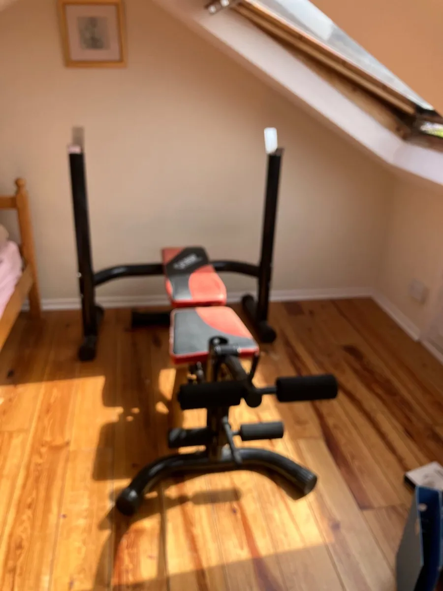 Bench press / chest press/ leg curls - Image 1