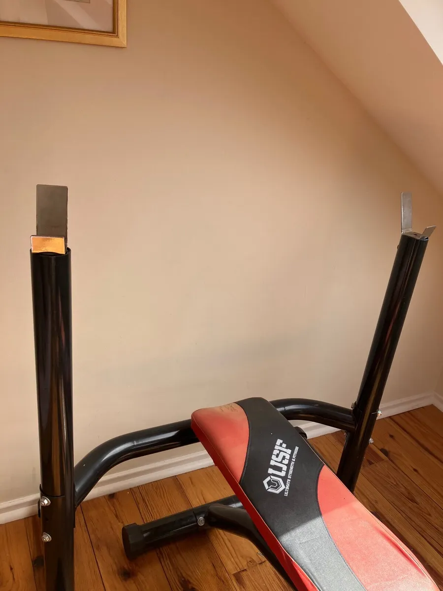 Bench press / chest press/ leg curls - Image 2