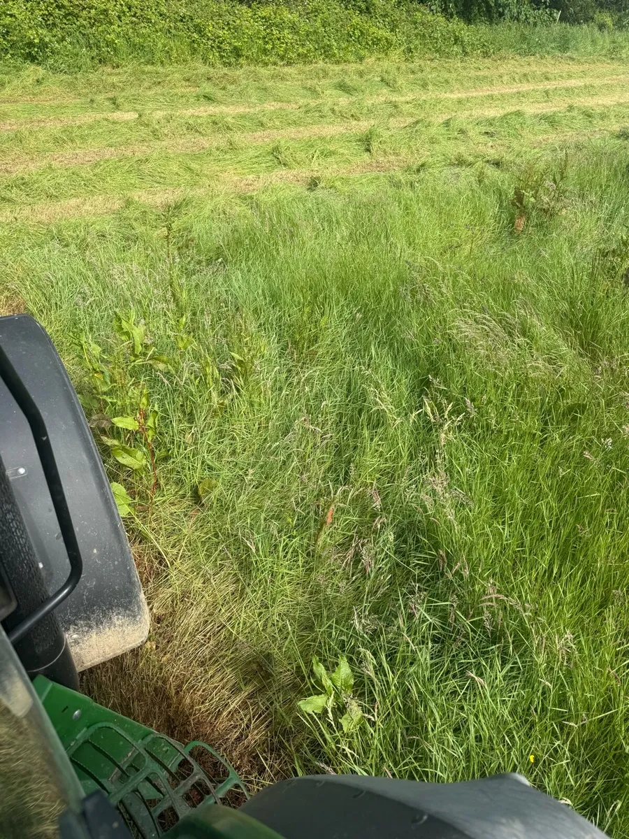 Silage bales - Image 1