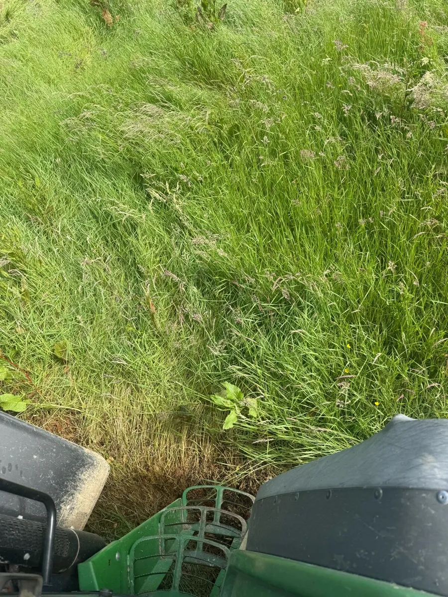 Silage bales - Image 2